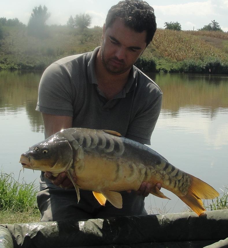 Moara Vlasiei 2 31 aug. - 1 sep.